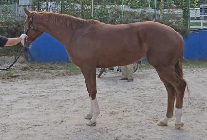 ����Ƽ ����