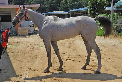 �׷���ǹ� ����