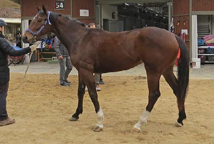 �����̰� ����