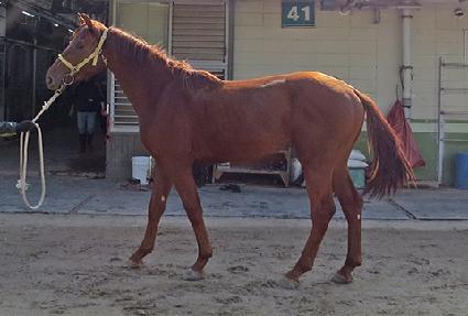 �׷��屺Ȳ ����