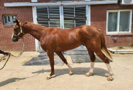 �������� ����