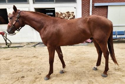 �Ŀ����̵� ����