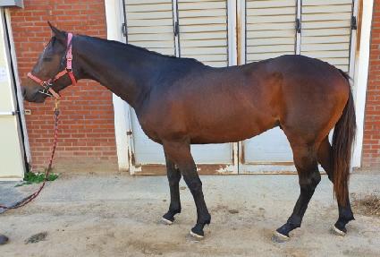 ŷ�ִϵ��� ����