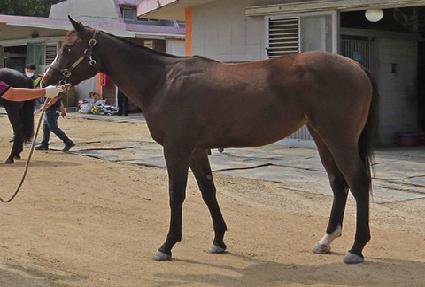 ��Ʈ��Ʈ�� ����