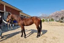 ����Ŭ���� (MAGIC CLASS) ����