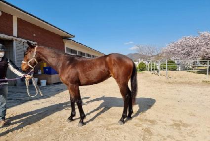 ����Ŭ���� ����