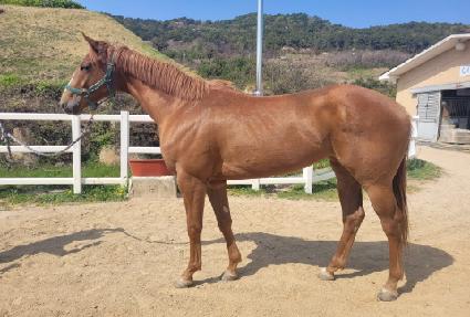 ���Ϳ���ī ����