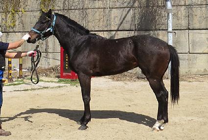 �۷ι��Ŀ� ����