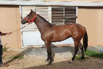 HAPPY BRIANNA picture