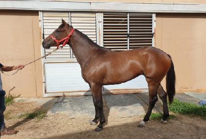 ���Ǻ긮�ֳ� ����