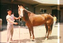 ���� (KCON IP) ����