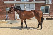 �ؿ������ (HAEUNDAE JEONSEOL) ����