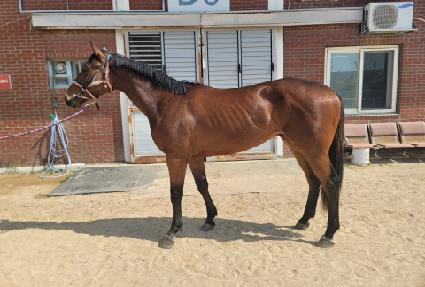 �ؿ������ ����