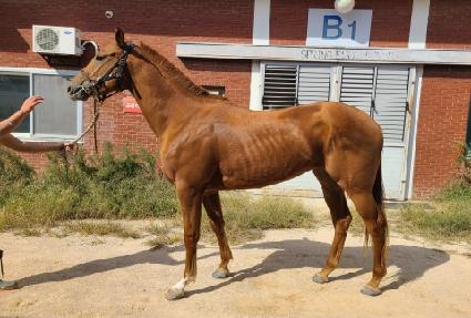 ���絵�� ����