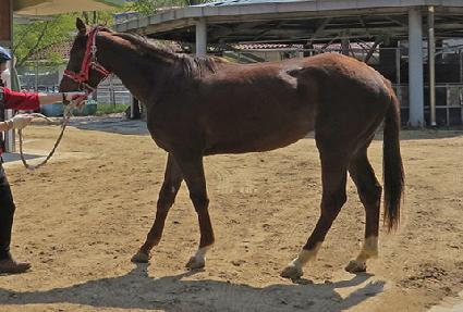 ���ĸ��� ����