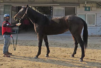 Ƽ�Ƹ� ����