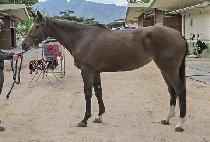 SARYEONI TYCHE picture