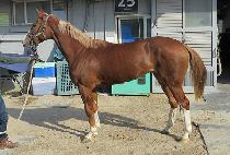 �Ÿ��Ǳ��� (GEOMAUI GIJEOK) ����