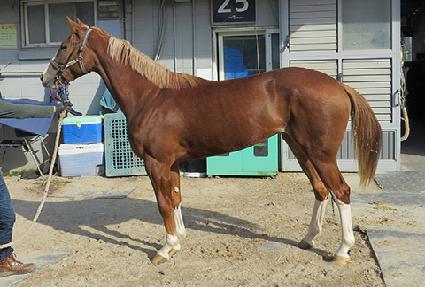 �Ÿ��Ǳ��� ����