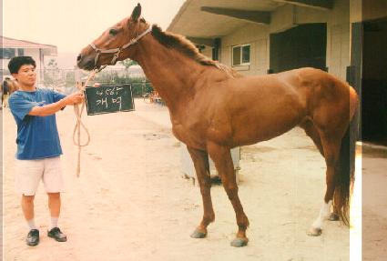 ���� ����