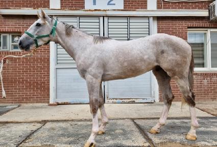 ����è�� ����