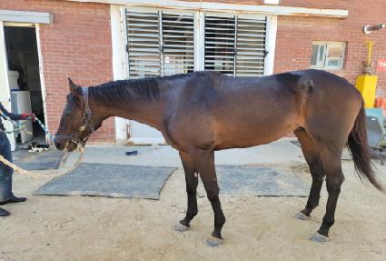 ���ϼҸ� ����