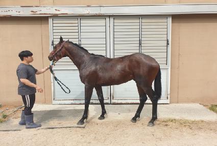 �۵����ű� ����