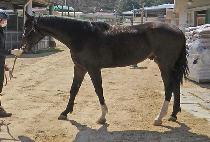 �׷��� (GROUPER) ����