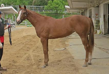 �׸�����ũ ����