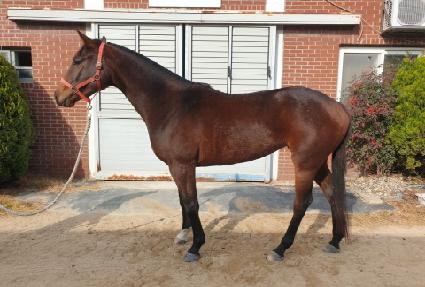 �ϸ����� ����