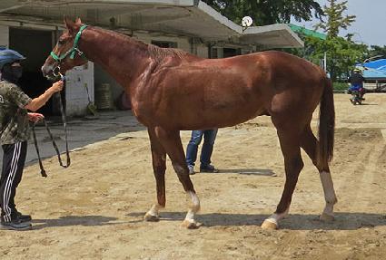 ��ö���� ����