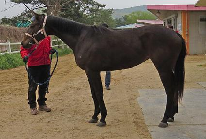 ���������̵� ����