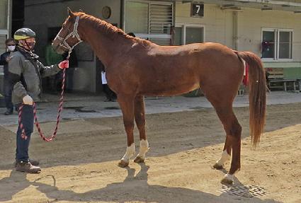 �������̽� ����