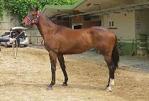 ��´���� (RAON THE BIG SHONE) ����