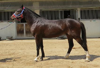 ��´����� ����