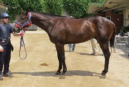 ��¿������� ����