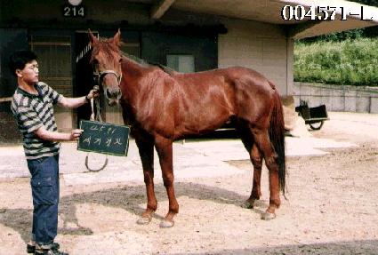 ������ȭ ����