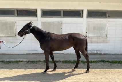 ����Ʈ�� ����