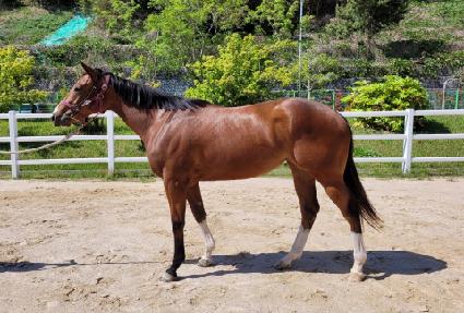 ����Ǯ�ٿ� ����