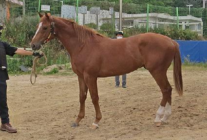 �������� ����