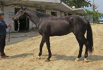 WONDERFUL VICAR picture