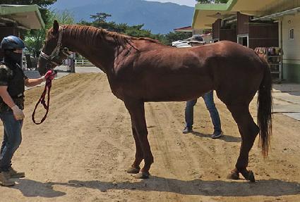 üũ����Ʈ ����