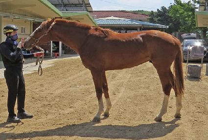 ���ʿ� ����