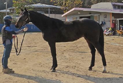 ���̿����ε� ����