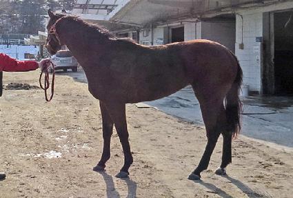 ���̿�����Ƽ ����