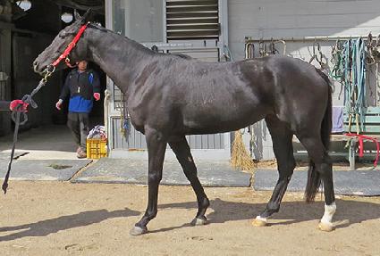 Ŭ������ ����