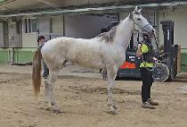 �����Ǽ��� (MUNMAKUI SEOLGI) ����