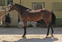 WINNER JERIN picture