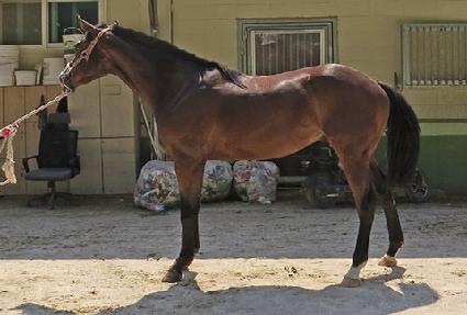 �������� ����