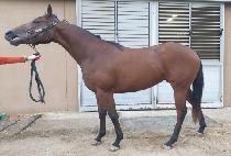 HWANGU SSONSAL picture